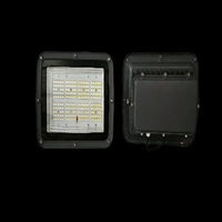 200W Back Choke Flood Light