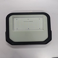 100W Floodlight 
