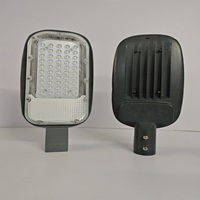 50W Folium Lens Street Light