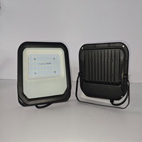 50W Slim Light