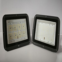 High Watt LED Flood Light (AC LED Module Type)