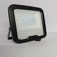 50W Alpha LED Flood Light